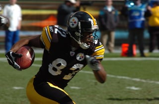 Picture of Antwaan Randle El