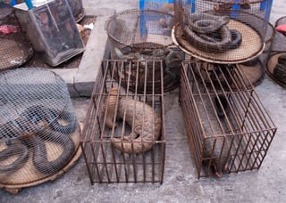 Picture of Black market