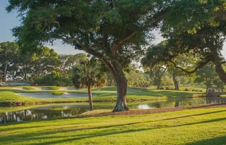Picture of The Dunes Golf and Beach Club