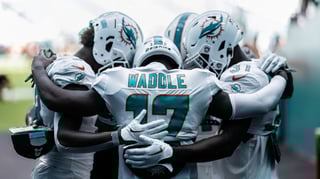 Picture of Miami Dolphins