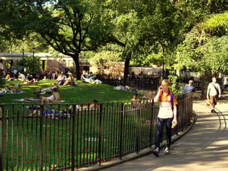 Picture of Tompkins Square Park