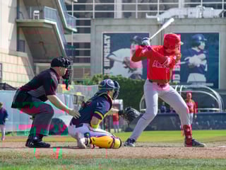 Picture of College baseball