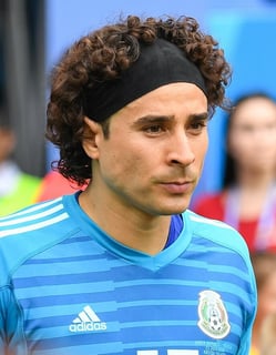 Picture of Guillermo Ochoa