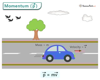 Picture of Momentum