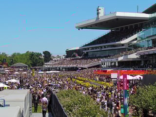 Picture of Melbourne Cup