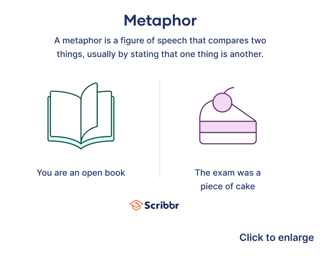 Picture of Metaphor