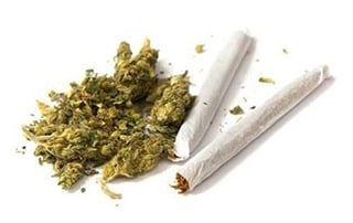 Picture of Cannabis