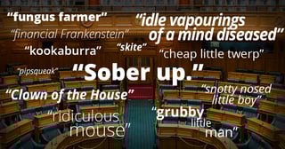 Picture of Unparliamentary language