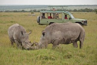 Picture of Ol Pejeta Conservancy