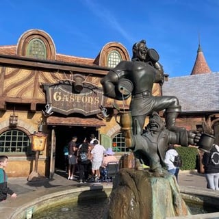 Picture of Fantasyland