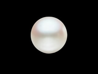 Picture of Pearl