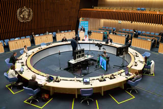 Picture of World Health Assembly