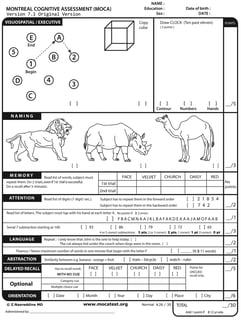 Picture of Cognitive test