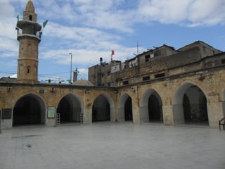 Picture of Shuja'iyya