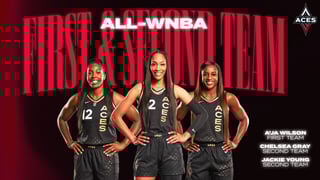 Picture of All-WNBA Team
