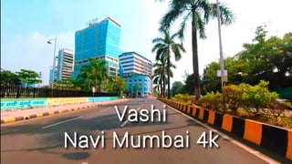 Picture of Vashi