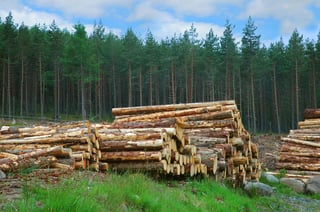 Picture of Natural resource