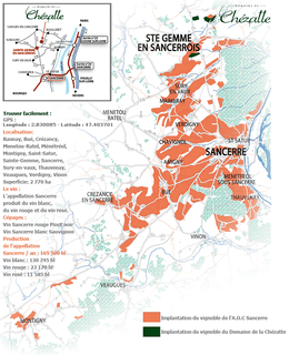 Picture of Sancerre