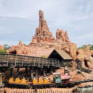 Picture of Frontierland