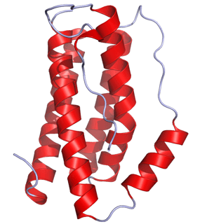 Picture of Interleukin 6