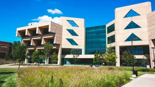 Picture of Chicago State University
