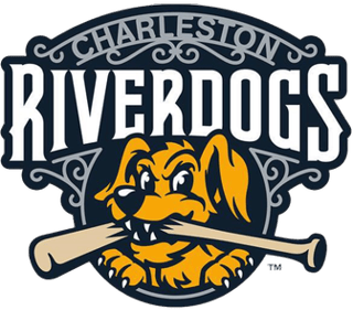 Picture of Charleston RiverDogs
