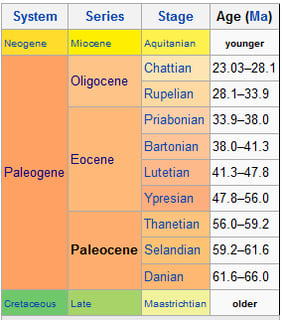 Picture of Oligocene