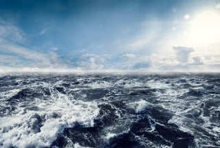Picture of Ocean