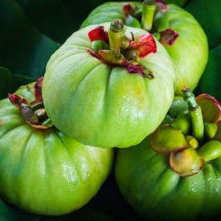 Picture of Garcinia cambogia