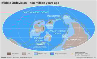 Picture of Ordovician