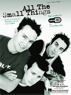 Picture of All the Small Things
