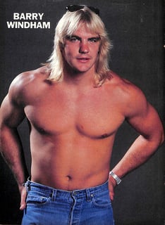 Picture of Barry Windham