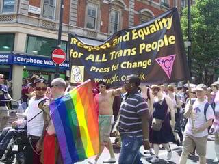 Picture of Transgender rights movement