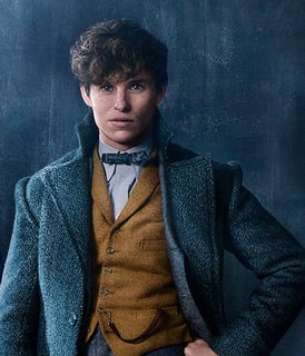 Picture of Newt Scamander