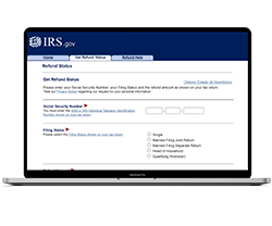 Picture of irs.gov