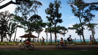 Picture of East Coast Park