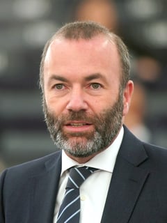 Picture of Manfred Weber
