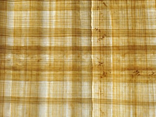 Picture of Papyrus