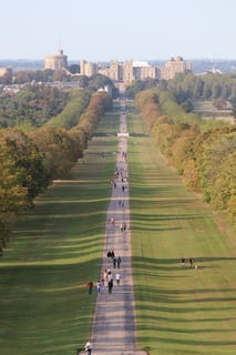Picture of Windsor Great Park