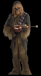 Picture of Wookieepedia