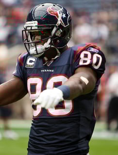 Picture of Andre Johnson