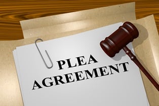 Picture of Plea