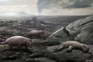 Picture of Permian–Triassic extinction event