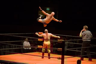 Picture of Professional wrestling