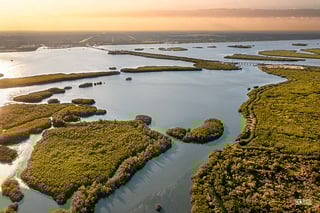Picture of Indian River Lagoon