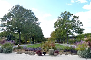 Picture of Queens Botanical Garden