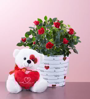 Picture of Rose