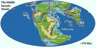 Picture of Middle Jurassic
