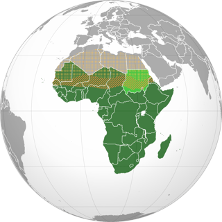 Picture of Sub-Saharan Africa