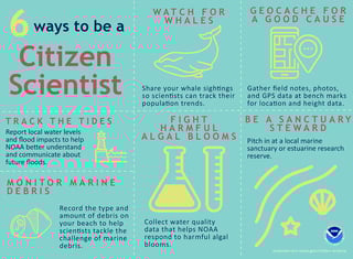 Picture of Citizen science